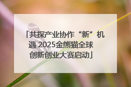 共探产业协作“新”机遇 2025金熊猫全球创新创业大赛启动