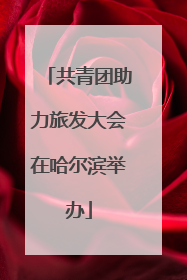 共青团助力旅发大会在哈尔滨举办