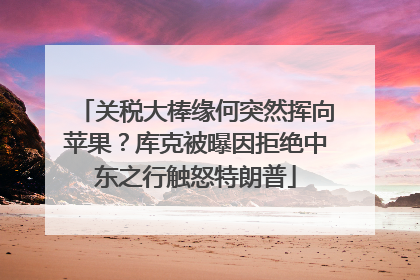 关税大棒缘何突然挥向苹果？库克被曝因拒绝中东之行触怒特朗普