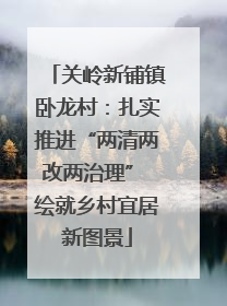 关岭新铺镇卧龙村：扎实推进“两清两改两治理” 绘就乡村宜居新图景