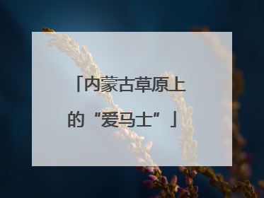 内蒙古草原上的“爱马士”