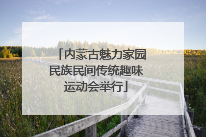 内蒙古魅力家园民族民间传统趣味运动会举行