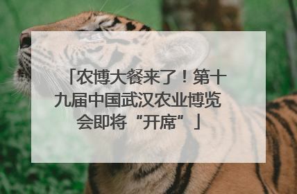 农博大餐来了！第十九届中国武汉农业博览会即将“开席”