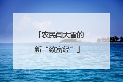 农民闫大雷的新“致富经”