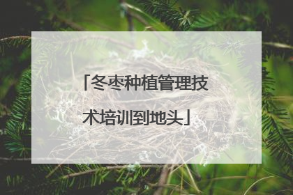 冬枣种植管理技术培训到地头