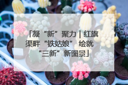凝“新”聚力｜红旗渠畔“铁姑娘” 绘就“三新”新图景