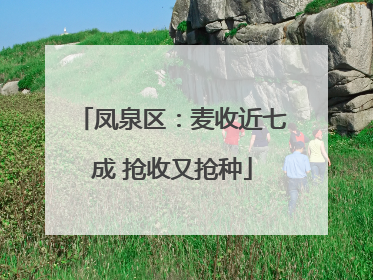 凤泉区：麦收近七成 抢收又抢种