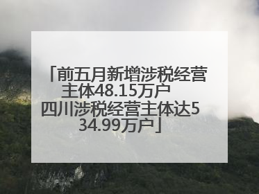 前五月新增涉税经营主体48.15万户 四川涉税经营主体达534.99万户