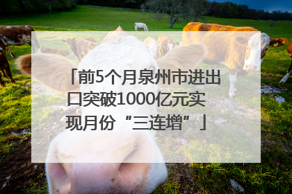 前5个月泉州市进出口突破1000亿元实现月份“三连增”