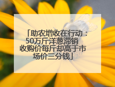 助农增收在行动：50万斤洋葱滞销 收购价每斤却高于市场价三分钱