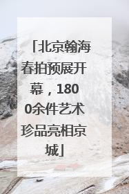 北京翰海春拍预展开幕，1800余件艺术珍品亮相京城