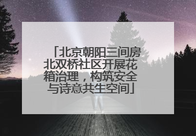 北京朝阳三间房北双桥社区开展花箱治理，构筑安全与诗意共生空间
