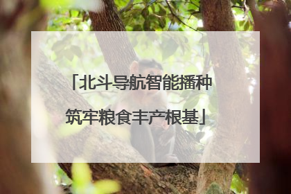 北斗导航智能播种 筑牢粮食丰产根基