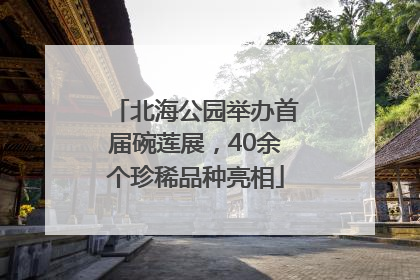 北海公园举办首届碗莲展，40余个珍稀品种亮相