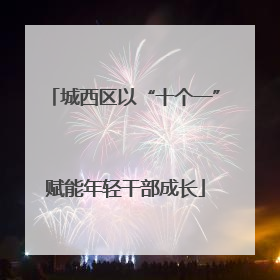 城西区以“十个一”赋能年轻干部成长