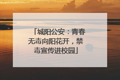 城阳公安：青春无毒向阳花开，禁毒宣传进校园