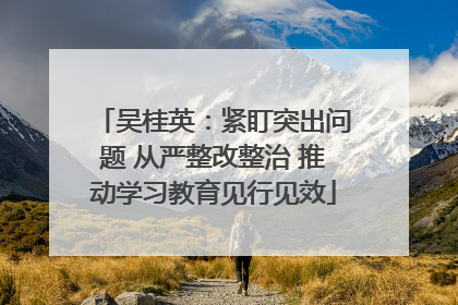 吴桂英：紧盯突出问题 从严整改整治 推动学习教育见行见效