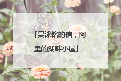 吴泳铭的信，阿里的湖畔小屋