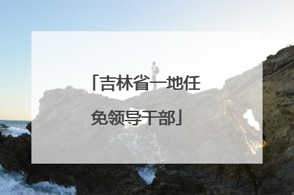 吉林省一地任免领导干部