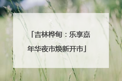 吉林桦甸：乐享嘉年华夜市焕新开市