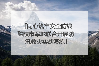同心筑牢安全防线 醴陵市军地联合开展防汛救灾实战演练