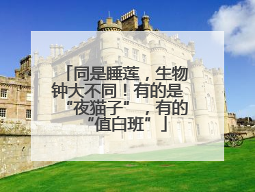 同是睡莲，生物钟大不同！有的是“夜猫子”，有的“值白班”
