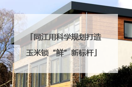 同江用科学规划打造玉米锁“鲜”新标杆