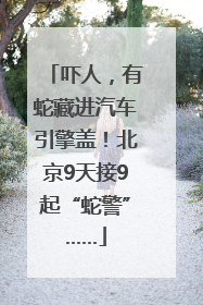 吓人，有蛇藏进汽车引擎盖！北京9天接9起“蛇警”……