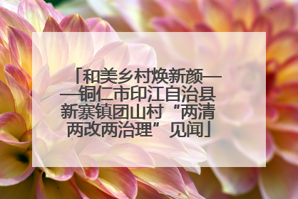 和美乡村焕新颜——铜仁市印江自治县新寨镇团山村“两清两改两治理”见闻