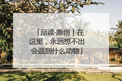 品读·原创｜在这里，永远想不出会遇到什么动物
