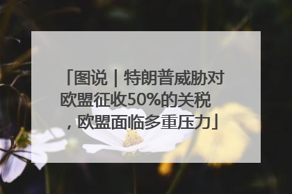 图说｜特朗普威胁对欧盟征收50%的关税，欧盟面临多重压力