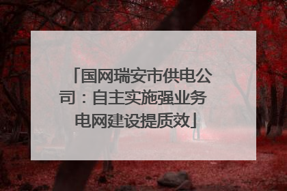 国网瑞安市供电公司：自主实施强业务 电网建设提质效