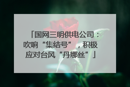 国网三明供电公司：吹响“集结号”，积极应对台风“丹娜丝”