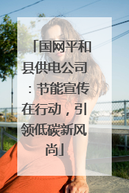 国网平和县供电公司：节能宣传在行动，引领低碳新风尚