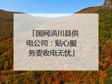 国网潢川县供电公司：贴心服务麦收电无忧
