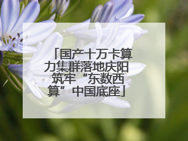 国产十万卡算力集群落地庆阳 筑牢“东数西算”中国底座