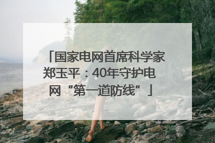 国家电网首席科学家郑玉平：40年守护电网“第一道防线”