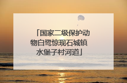 国家二级保护动物白鹭惊现石城镇水堡子村河道