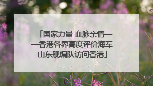 国家力量 血脉亲情——香港各界高度评价海军山东舰编队访问香港