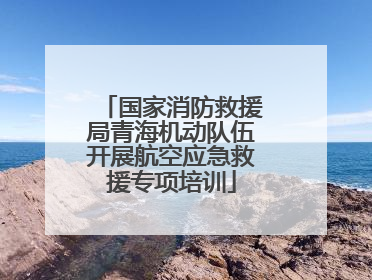 国家消防救援局青海机动队伍开展航空应急救援专项培训