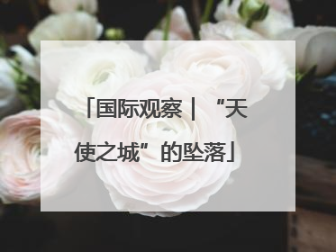 国际观察｜“天使之城”的坠落