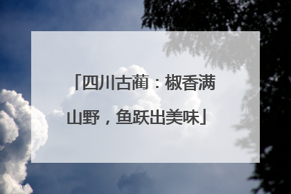 四川古蔺：椒香满山野，鱼跃出美味