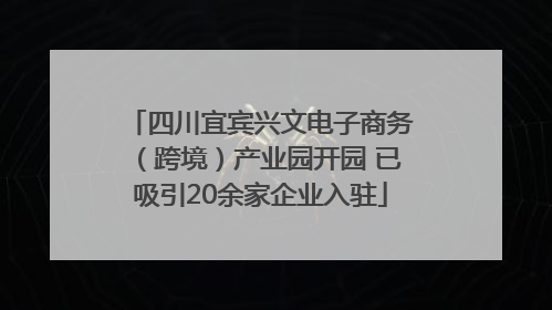 四川宜宾兴文电子商务（跨境）产业园开园 已吸引20余家企业入驻