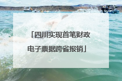 四川实现首笔财政电子票据跨省报销