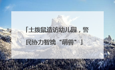 土拨鼠造访幼儿园，警民协力智擒“萌兽”