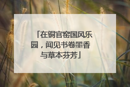 在铜官窑国风乐园，闻见书卷墨香与草本芬芳