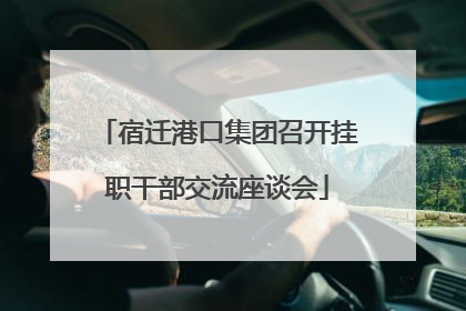 宿迁港口集团召开挂职干部交流座谈会