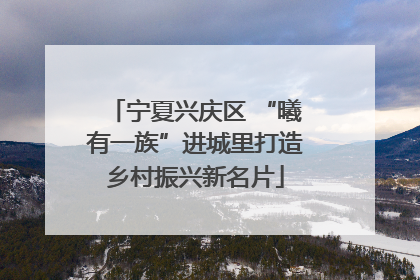 宁夏兴庆区 “曦有一族”进城里打造乡村振兴新名片