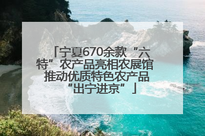 宁夏670余款“六特”农产品亮相农展馆 推动优质特色农产品“出宁进京”