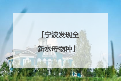 宁波发现全新水母物种